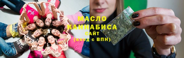 индика Бронницы