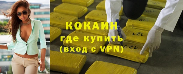 индика Бронницы