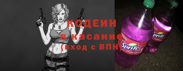 эйфоретик Бородино