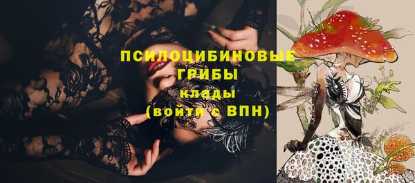 крисы Болхов