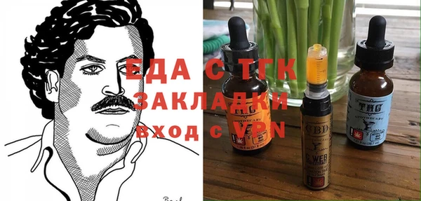индика Бронницы