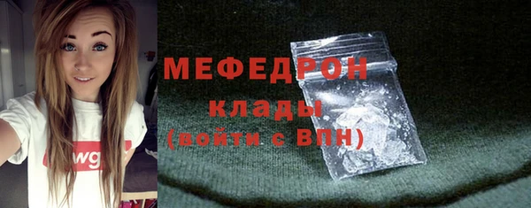 индика Бронницы