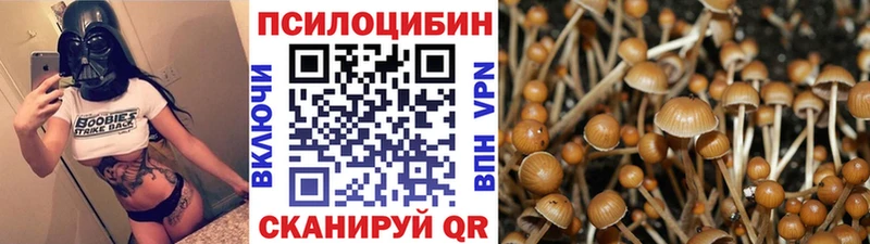 Псилоцибиновые грибы Psilocybe  наркотики  Изобильный 